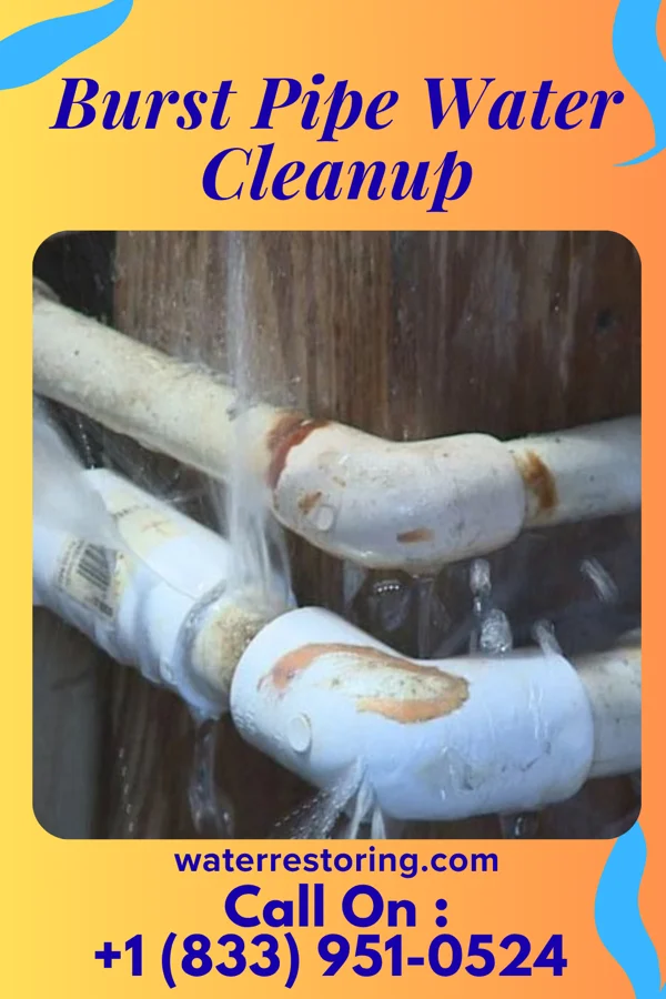 Burst Pipe Water Cleanup in English Creek, NJ