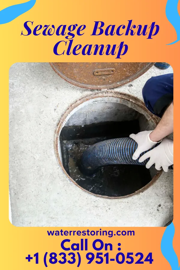 Sewage Backup Cleanup in English Creek, NJ