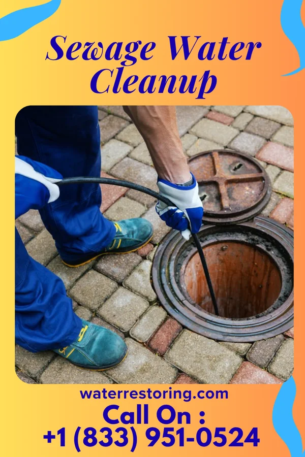 Sewage Water Cleanup in English Creek, NJ